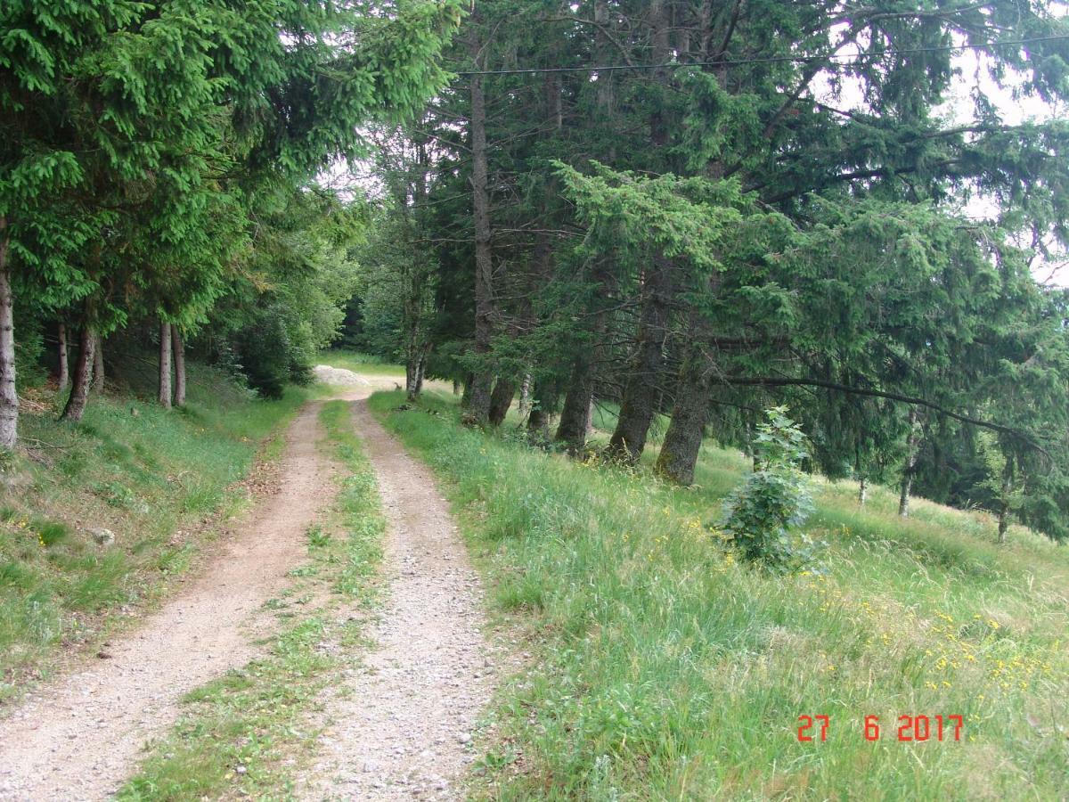 Les O Welches Cote Lac Orbey Exterior foto